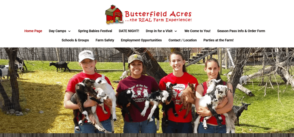 Day Camps in Calgary