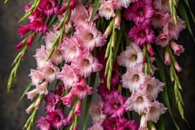 flower shops in Calgary