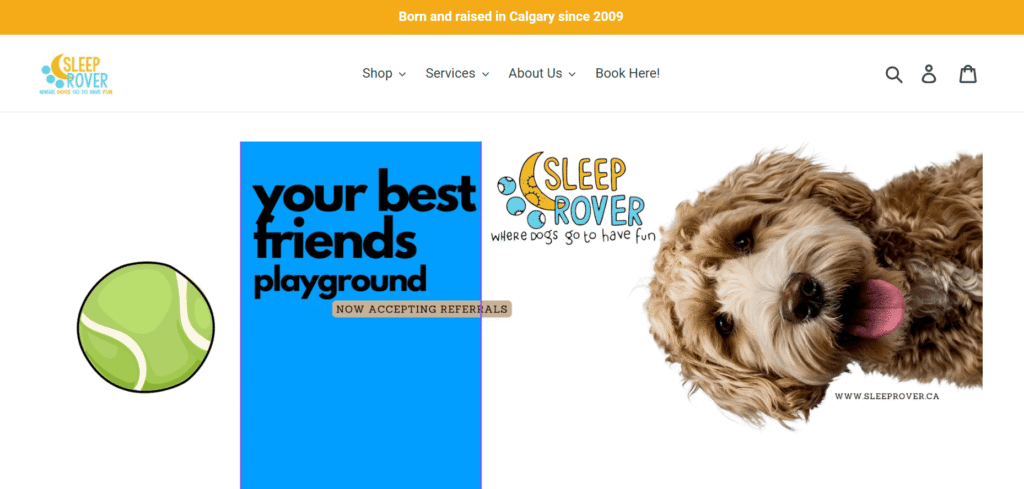 dog boarding in Calgary