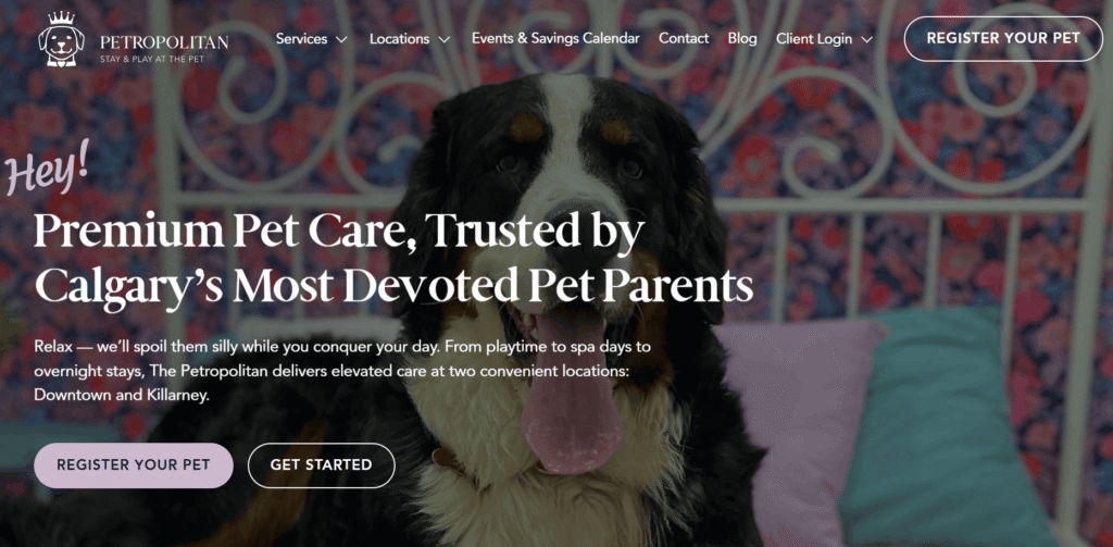 dog boarding in Calgary
